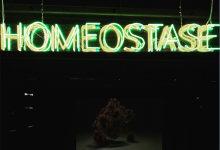 HOMEOSTASE | THE WRONG NEW DIGITAL ART BIENNALE