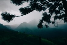 Pico dos Marins